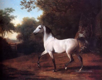 dw011fD animal cheval Peinture à l'huile